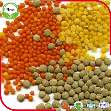 High Quality Lentils/Red Lentils/Green Lentils for Sale